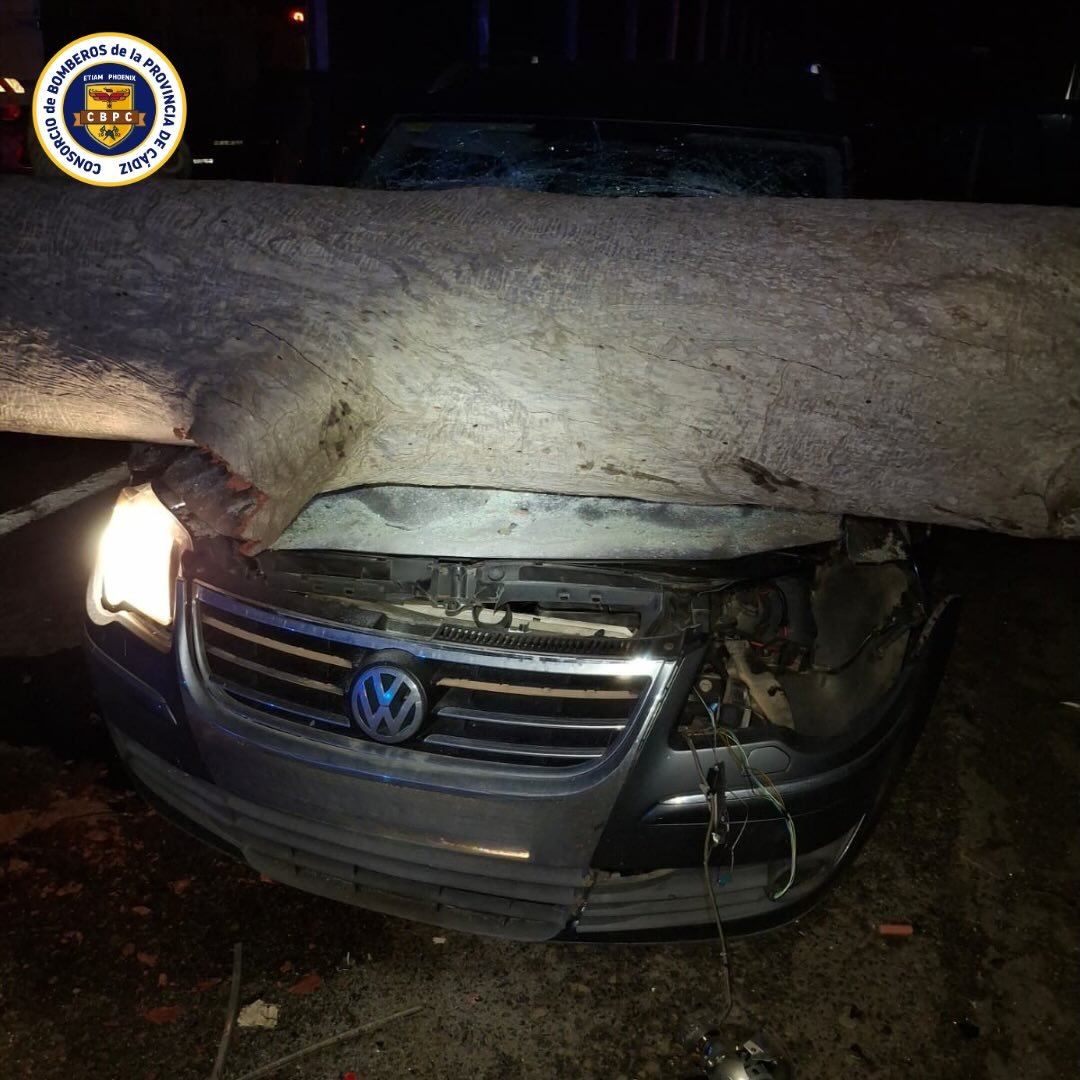 Rápida actuación de bomberos en la A-7