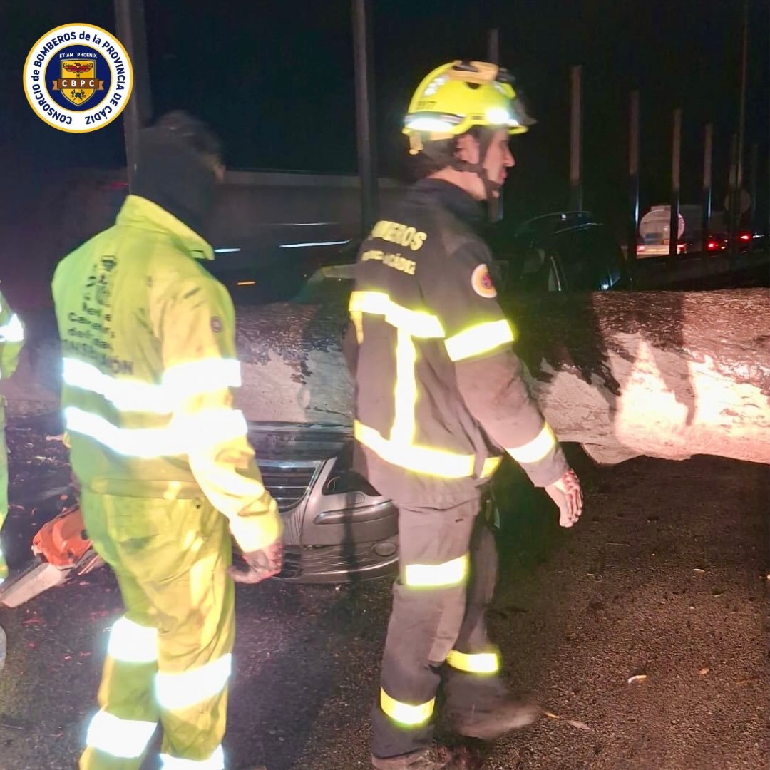Rápida actuación de bomberos en la A-7