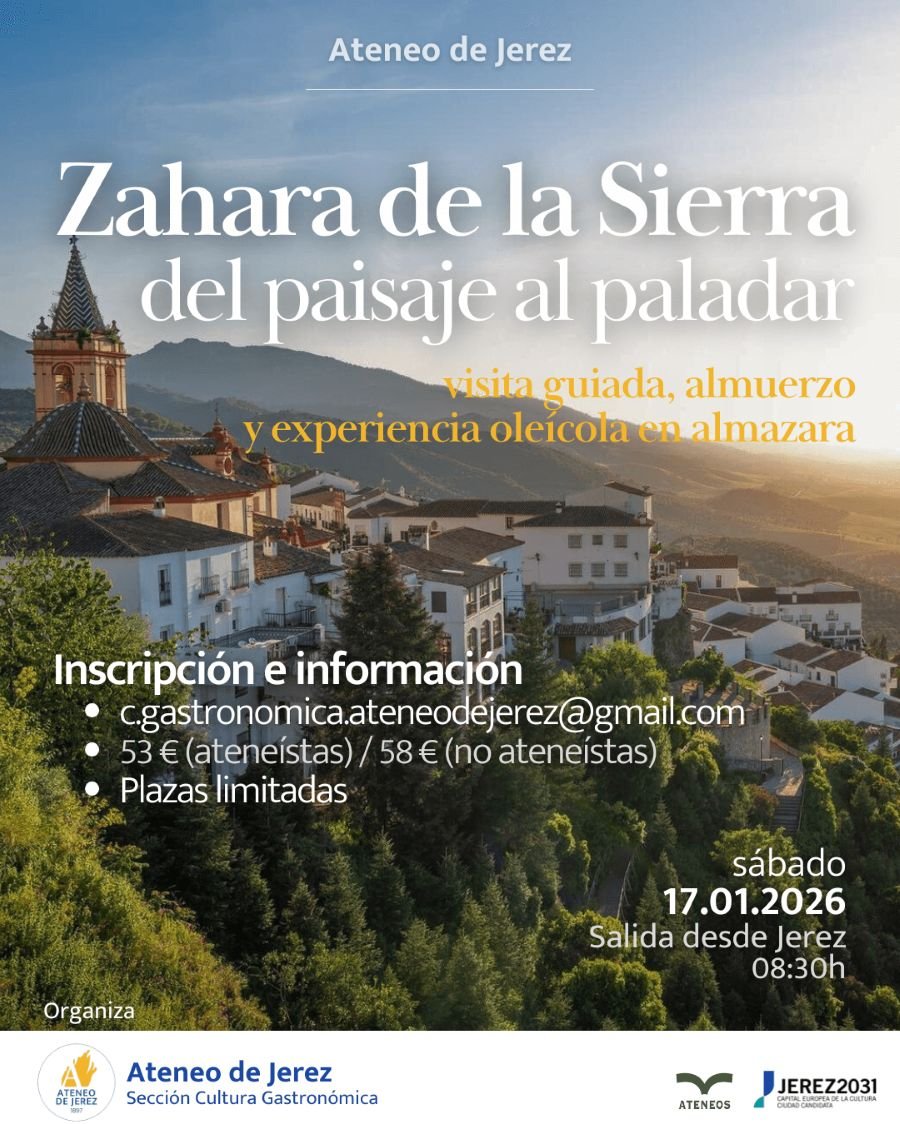 Visita guiada almuerzo y experiencia oleícola en Zahara de la Sierra