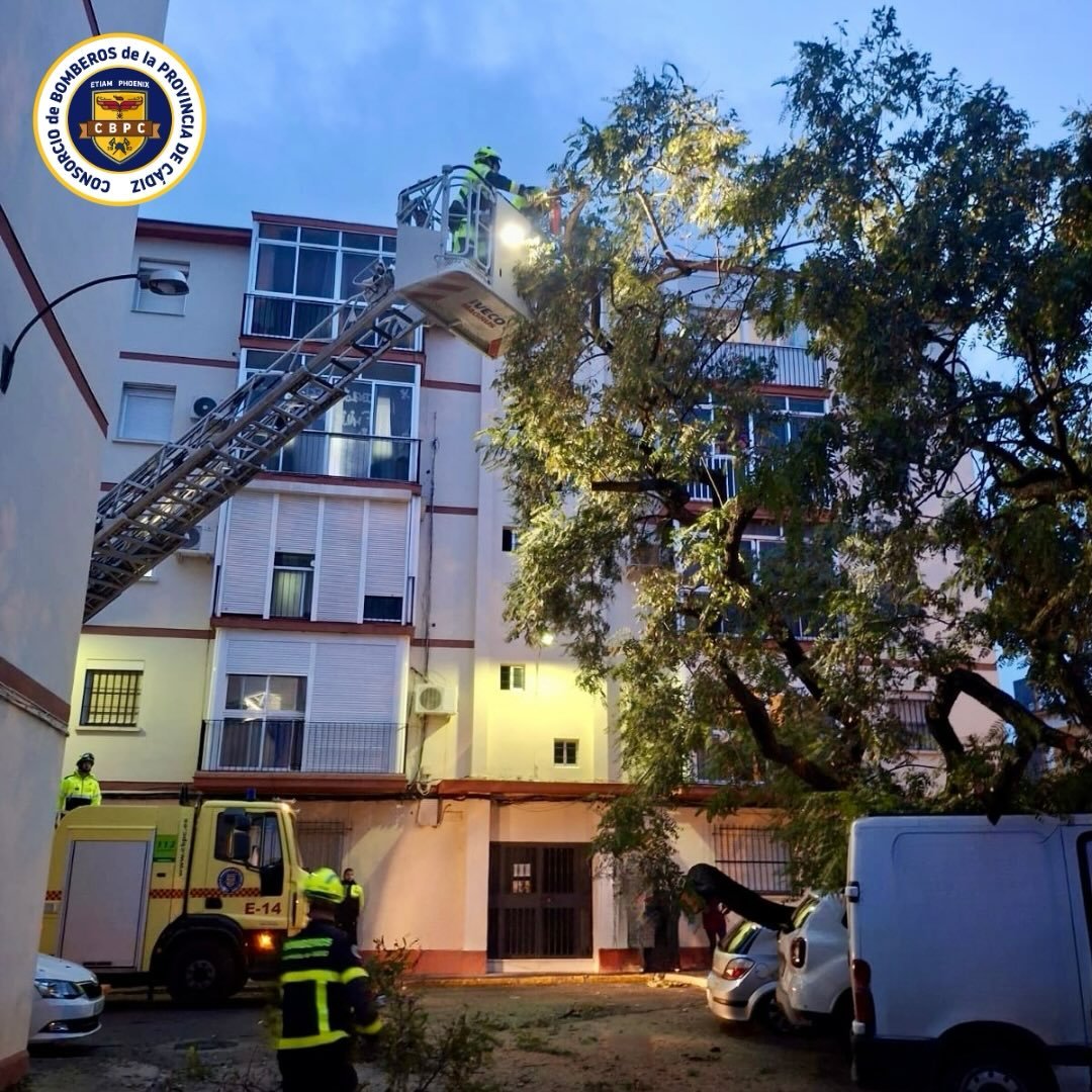 Bomberos Jerez retirada arbol el puerto
