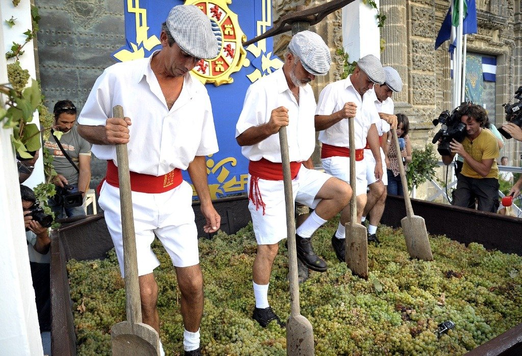 Cuatro vendimiadores vestidos de blanco con fajín rojo realizando la pisa de la uva frente a la Catedral de Jerez en un acto oficial.