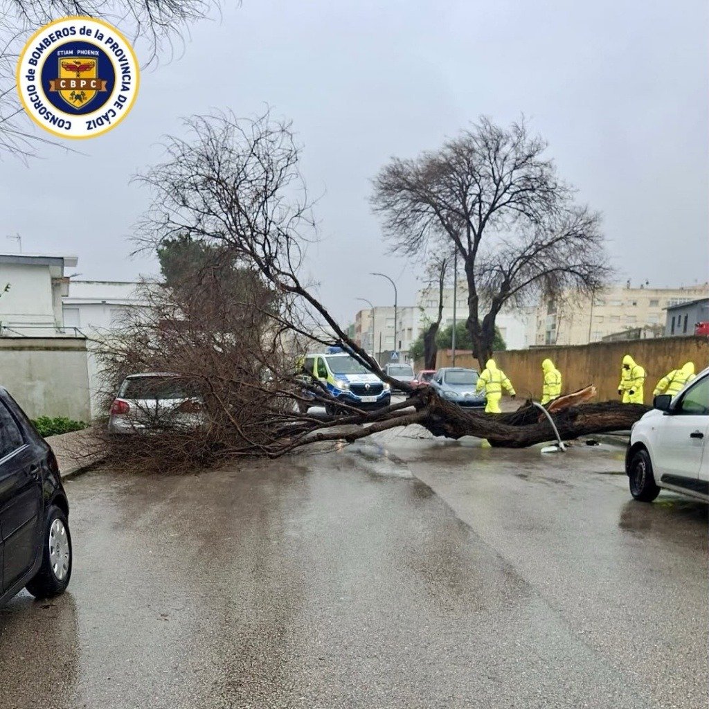 Operarios de emergencias y policía local inspeccionan un coche blanco dañado por la caída de un árbol de gran porte en una calle residencial de Jerez de la Frontera durante el temporal de la borrasca Kristin.
