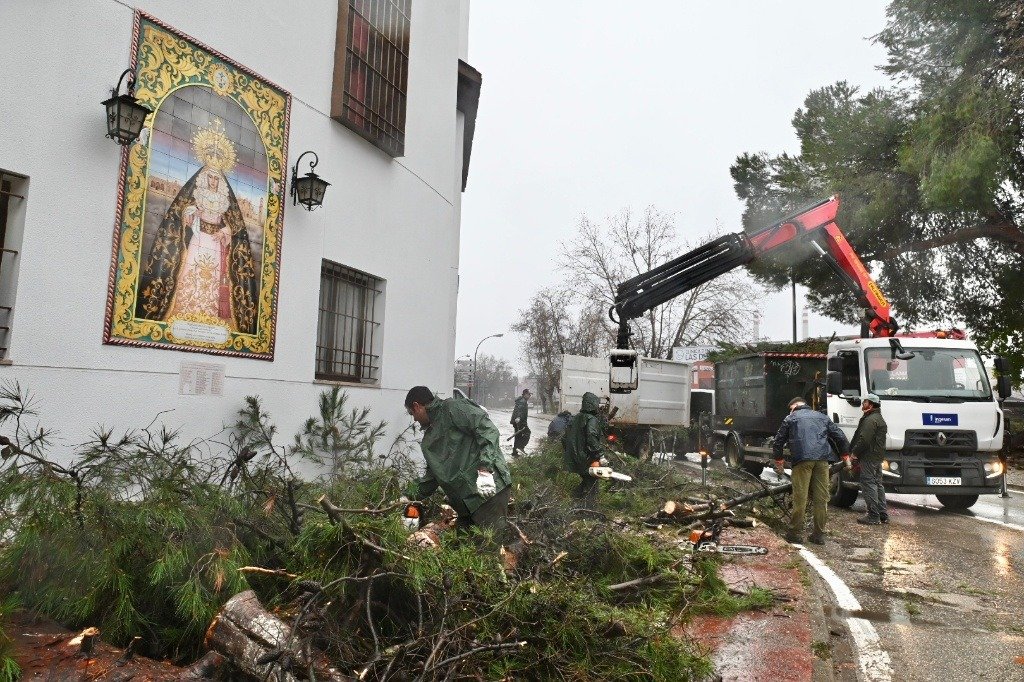 Operarios municipales de Jerez retiran pinos caídos y ramas con motosierras y camión grúa tras el fuerte temporal de viento y lluvia.