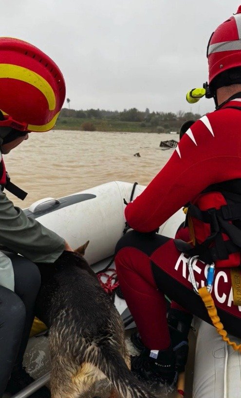 Efectivos de rescate de Cruz Roja en una lancha neumática asistiendo a un ciudadano y su mascota durante las inundaciones en el río Guadalete, Jerez.