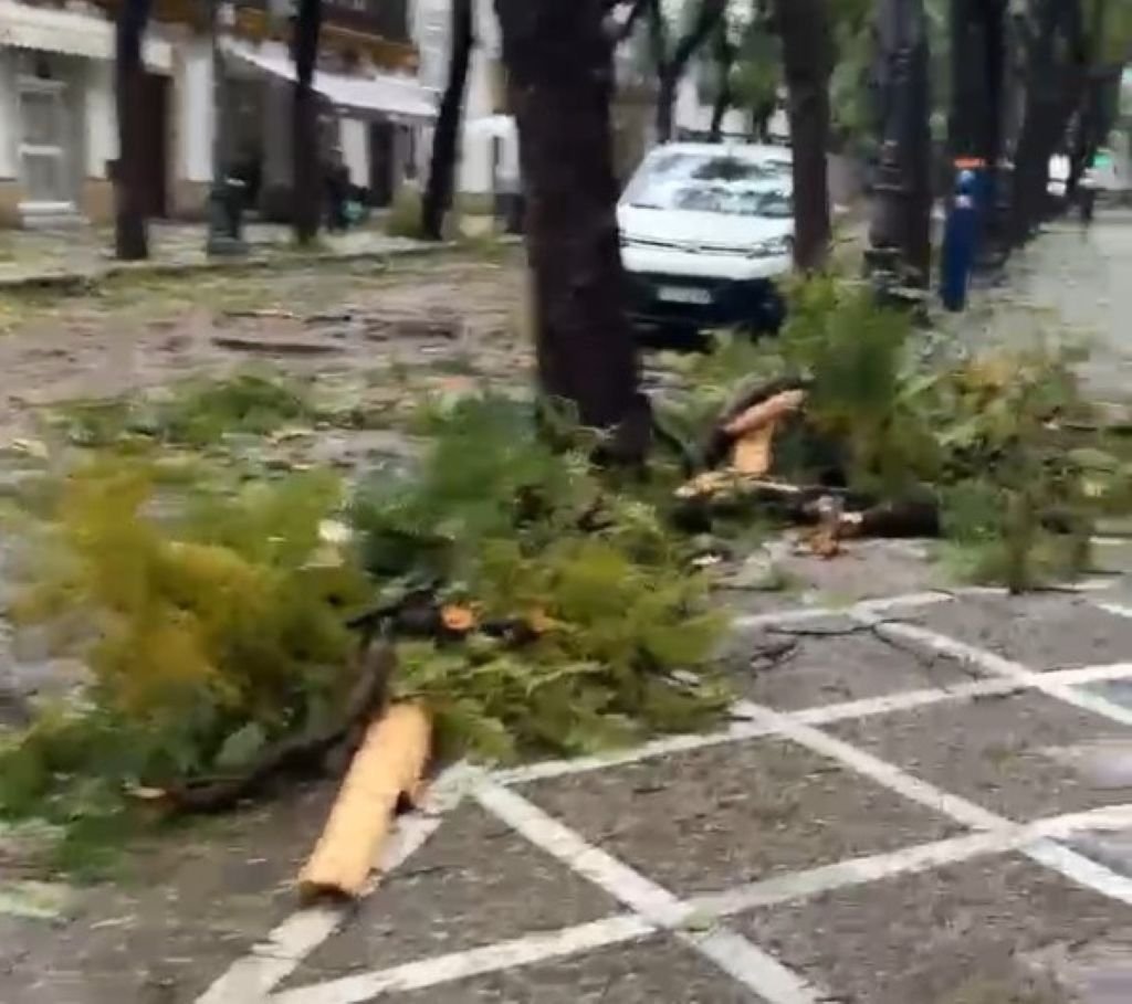 Corte de tráfico en Jerez y precinto de seguridad en parque público por revisión de arbolado.