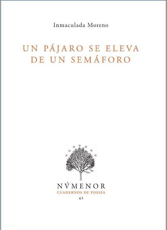 Un pájaro se eleva de un semáforo: Inmaculada Moreno presenta su obra en Jerez