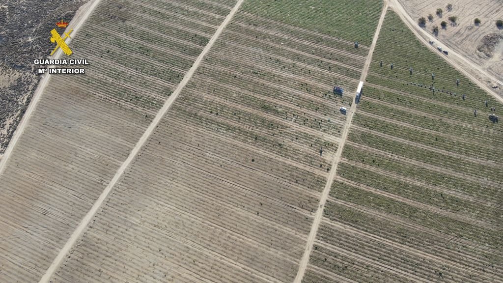 Vista aérea de una inspección de la Guardia Civil sobre terrenos agrícolas con contraste entre cultivos de secano y regadío durante la Operación Zahorí contra la extracción ilegal de agua en España.