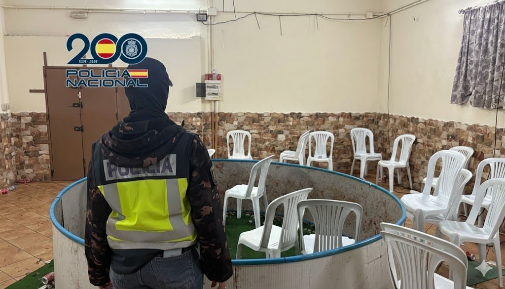 Agente de la Policía Nacional de espaldas frente a un ring circular para peleas de gallos ilegales en una nave de Sanlúcar de Barrameda, rodeado de sillas de plástico blancas.