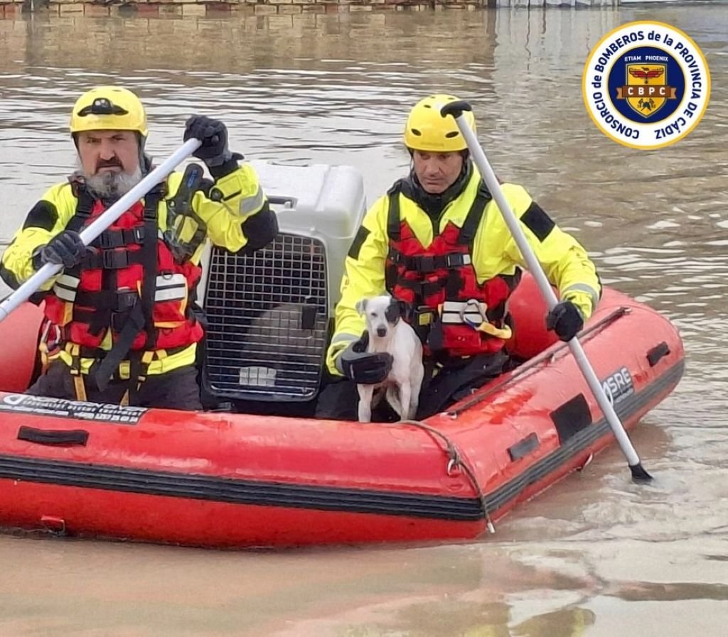 Rescate de animales en El Portal Jerez: Bomberos del CBPC salvan a un perro en lancha durante las inundaciones del río Guadalete.