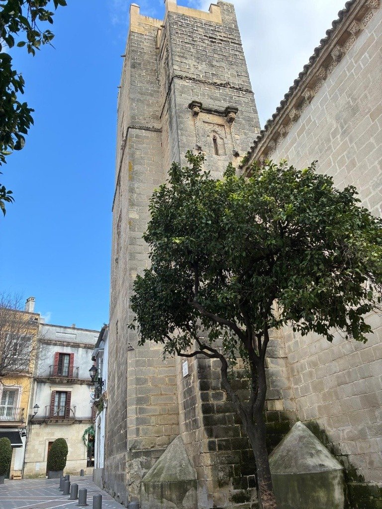 Torre de la Atalaya de Jerez con detalles de arcos polilobulados mudéjares y fábrica de sillería junto a un naranjo, vinculada a las antiguas murallas de Šarīš Šiḏūna.