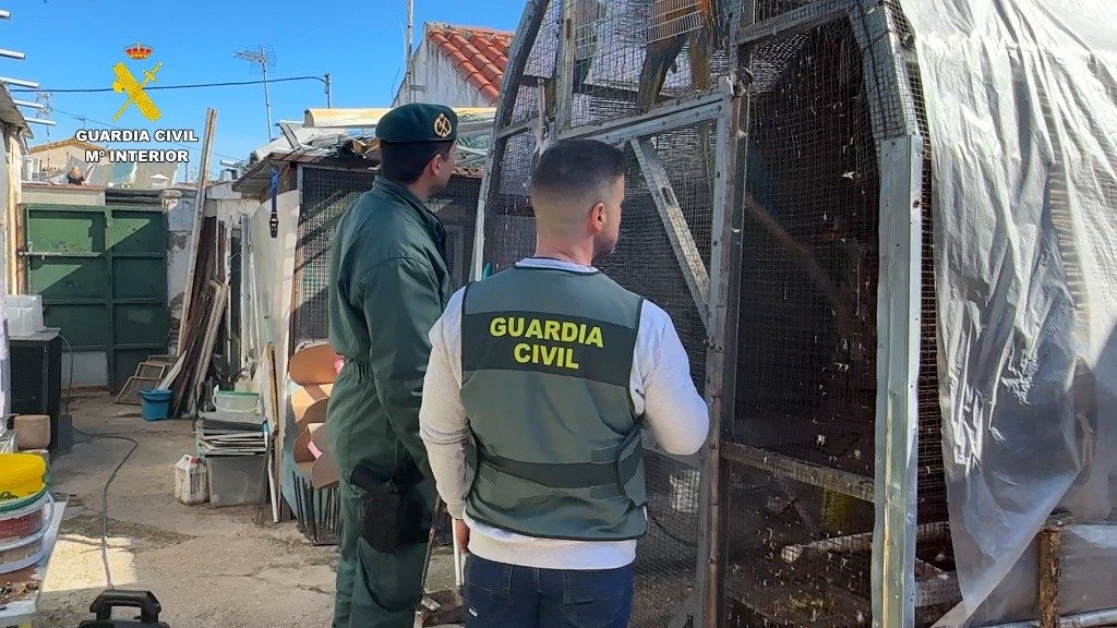 Golpe al tráfico ilegal de aves exóticas en la zona rural de Jerez: 500 ejemplares rescatados