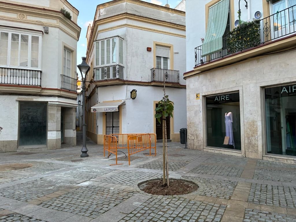 Alcorque con árbol joven y nueva farola frente a la tienda Aire en la plaza del Progreso de Jerez.