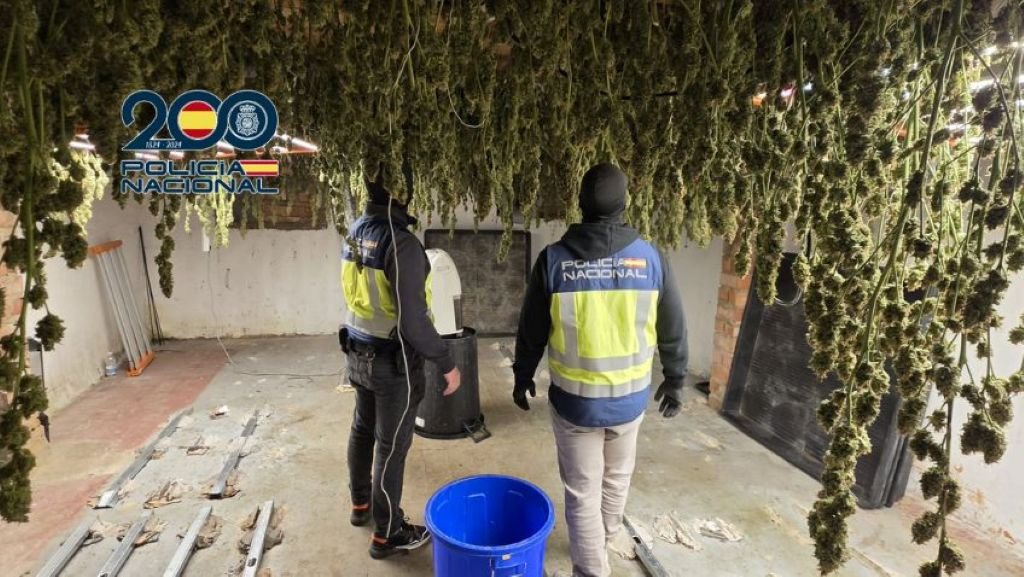 Operación policial contra la marihuana en Jerez: el barrio de Federico Mayo recupera su tranquilidad
