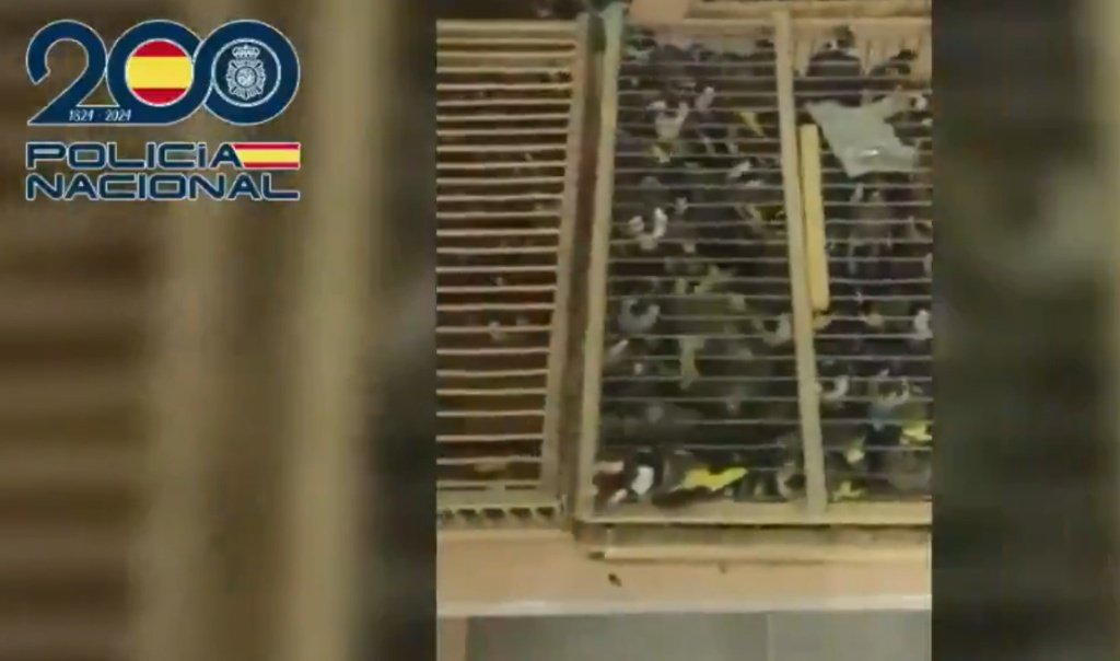 Delitos contra el medio ambiente y sus penas: el caso de los 400 jilgueros