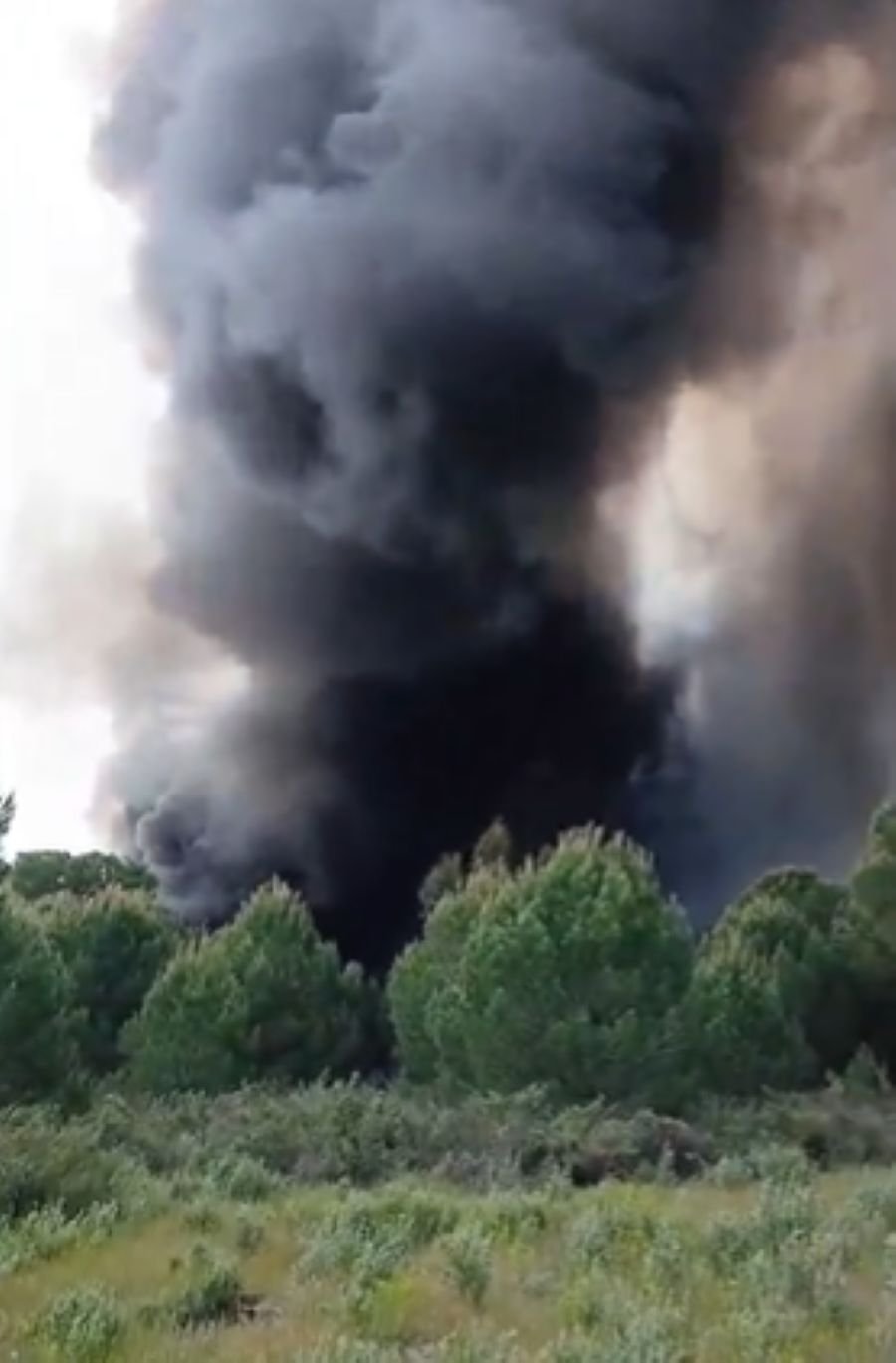 Incendio en una planta de reciclaje de Almonte: última hora