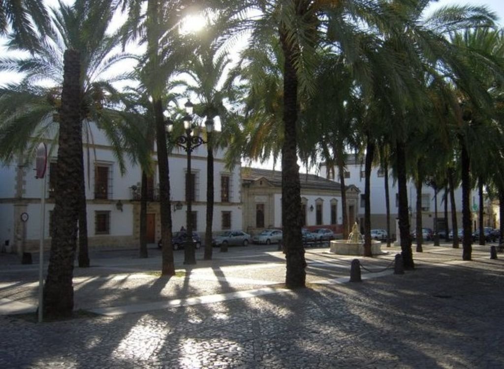 Vista de la histórica Plaza del Mercado en Jerez de la Frontera, con sus palmeras características, edificios señoriales de fachadas blancas y una fuente central, situada frente al Museo Arqueológico Municipal.