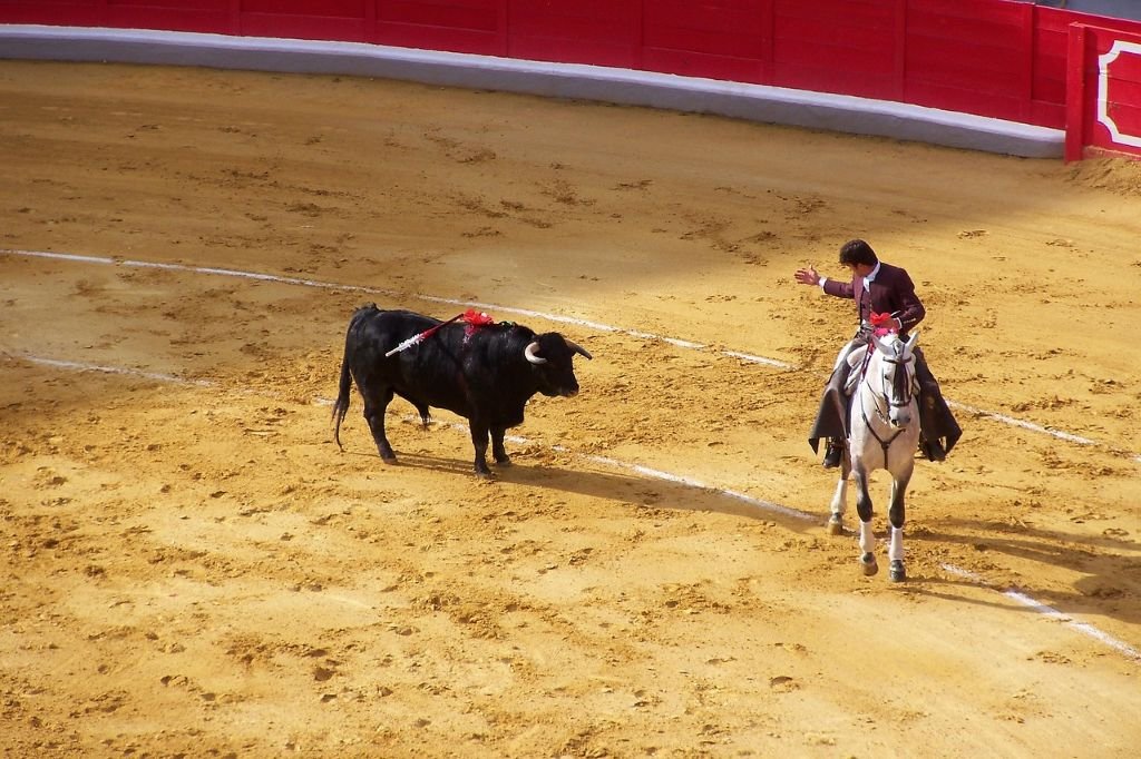 ¿Se llamó Maestro el primer toro lidiado en Jerez? La verdad tras el mito