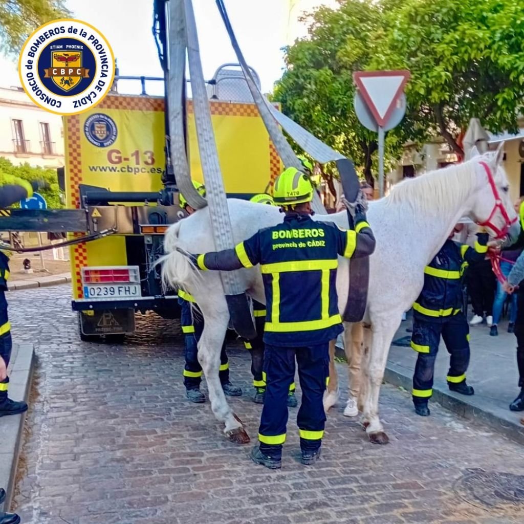 Los bomberos de Jerez rescatan a un caballo desplomado en plena calle San Agustín