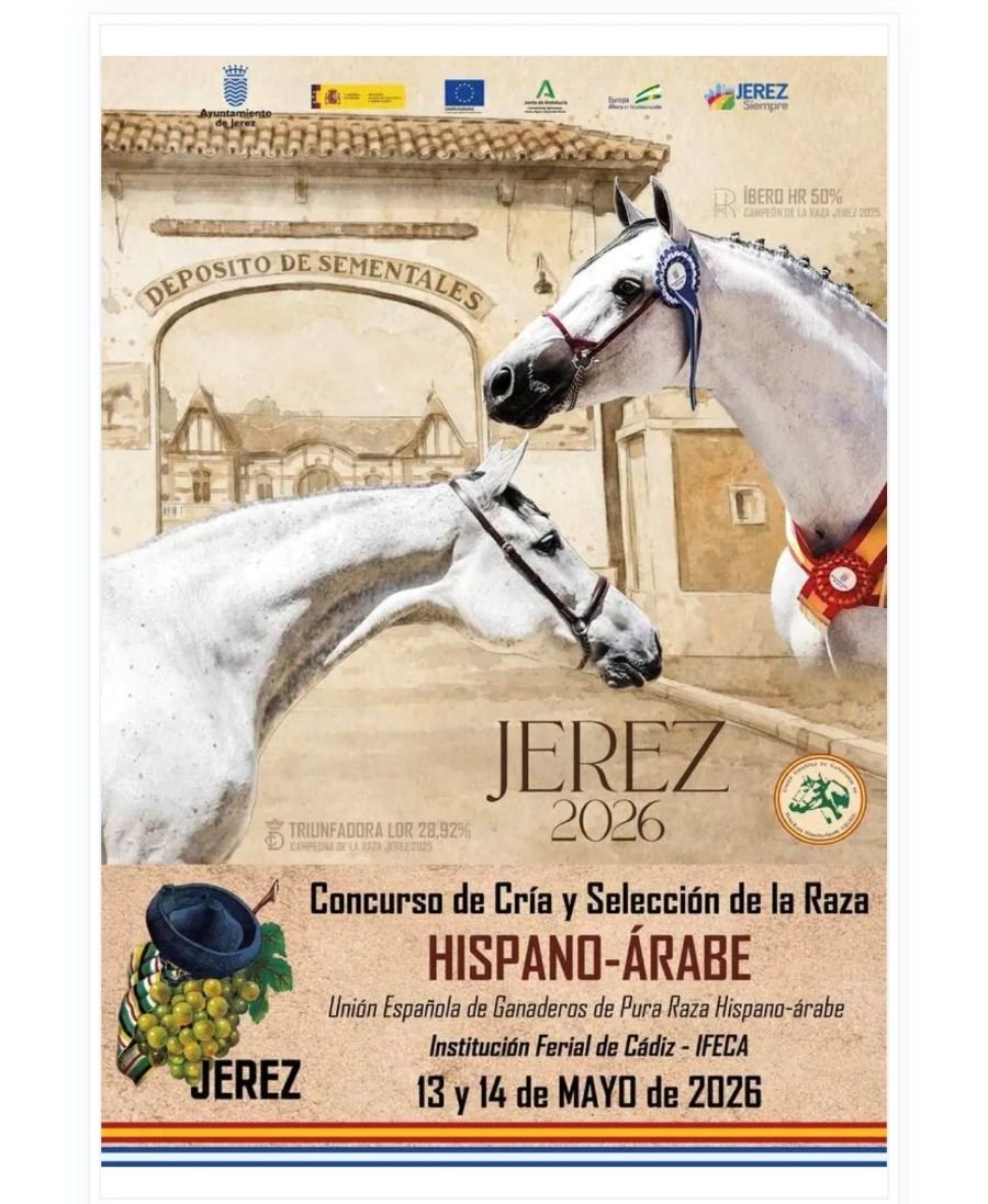 Secretos del caballo Hispano-Árabe en Jerez: Cita en IFECA