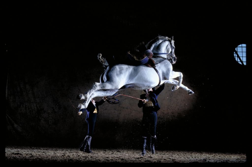 Cómo bailan los caballos andaluces en la Feria de Jerez 2026