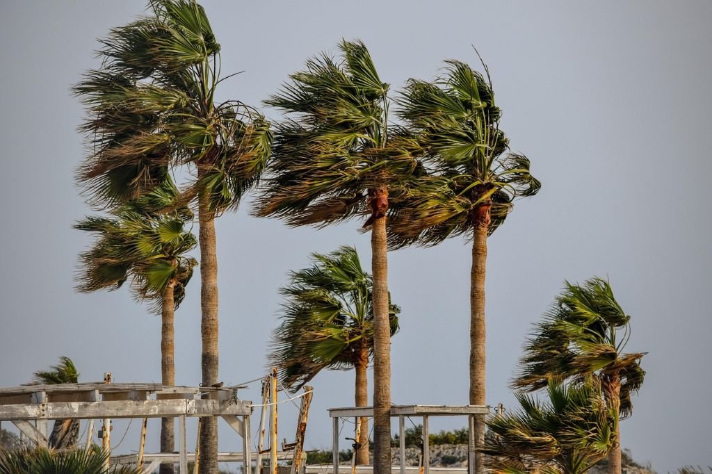 El tiempo en Jerez hoy 24 de mayo: alerta por calor y fuerte levante
