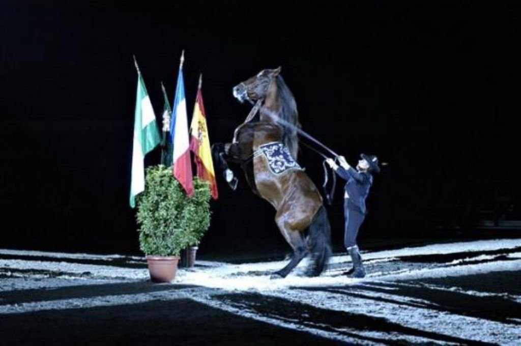 El secreto de la Real Escuela en la Feria del Caballo 2026: La Gala Nocturna