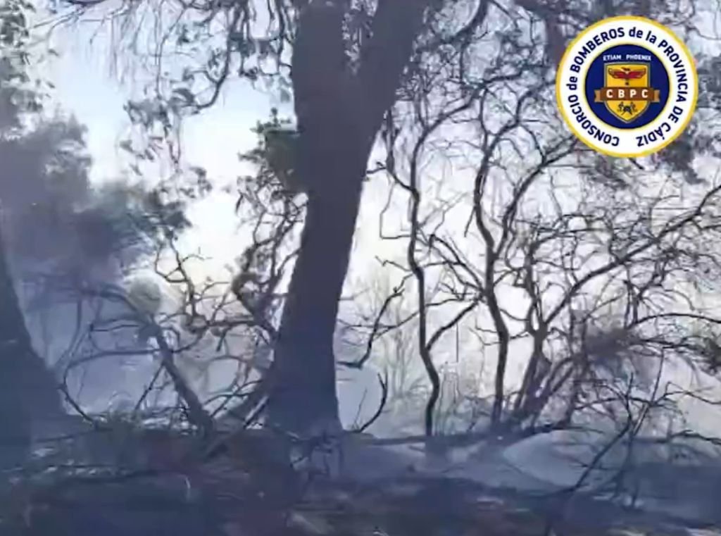 Intervienen los bomberos de Jerez y Cádiz en un incendio en Puerto Real