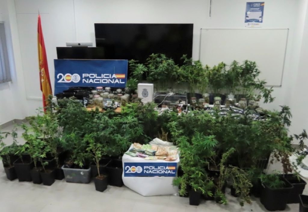 Golpe al tráfico de drogas: Cae una gran plantación de marihuana en Rota