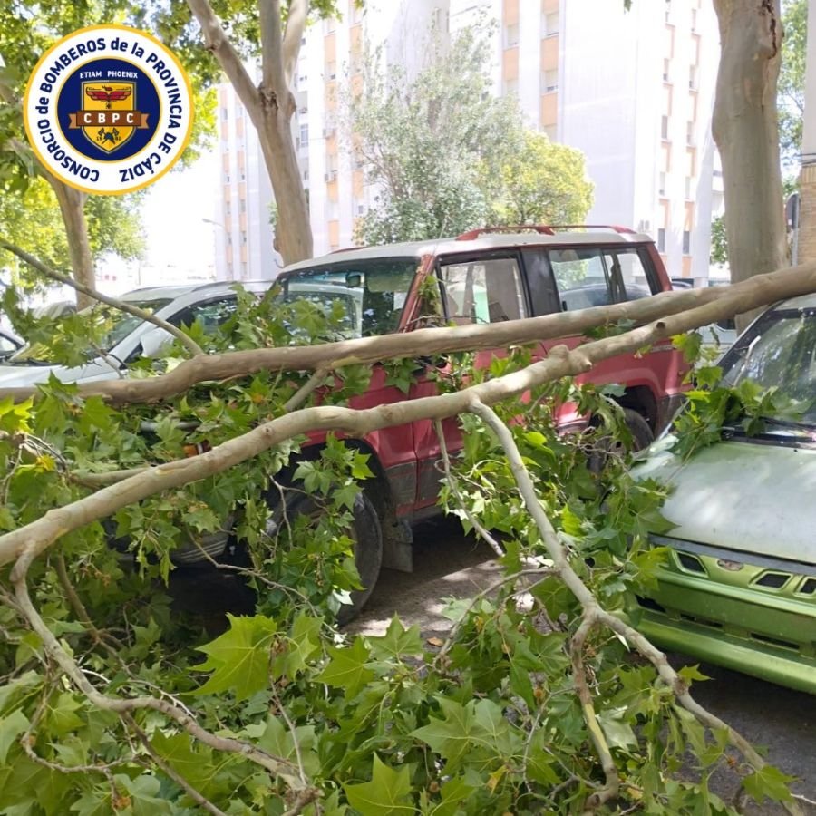 Fuertes rachas provocan 15 intervenciones de bomberos en Jerez por viento