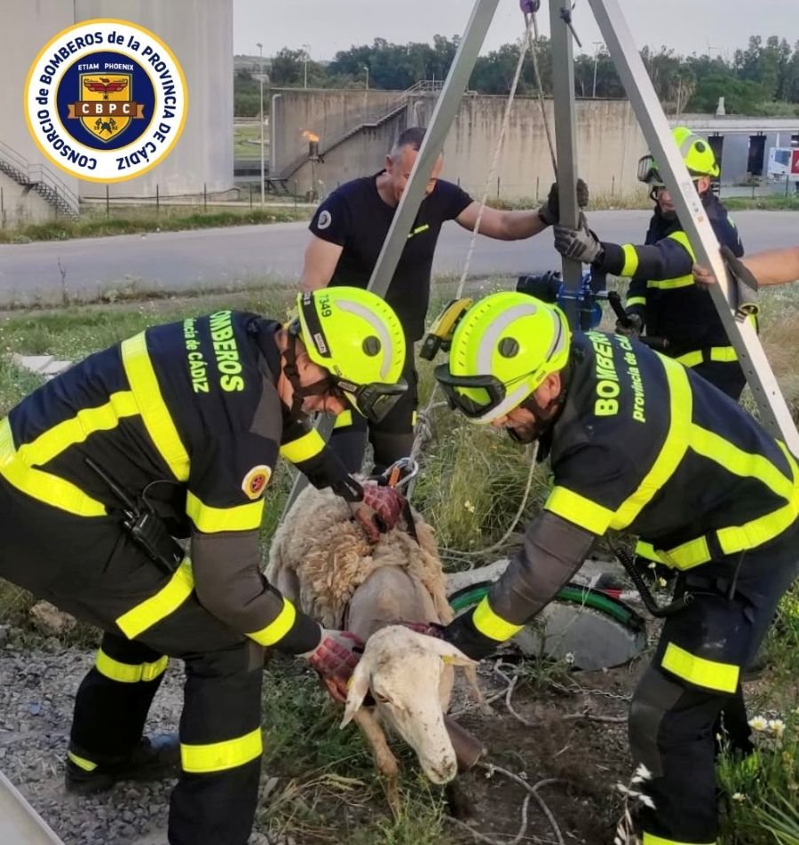 Rescate de una oveja en Jerez: bomberos salvan al animal en El Portal