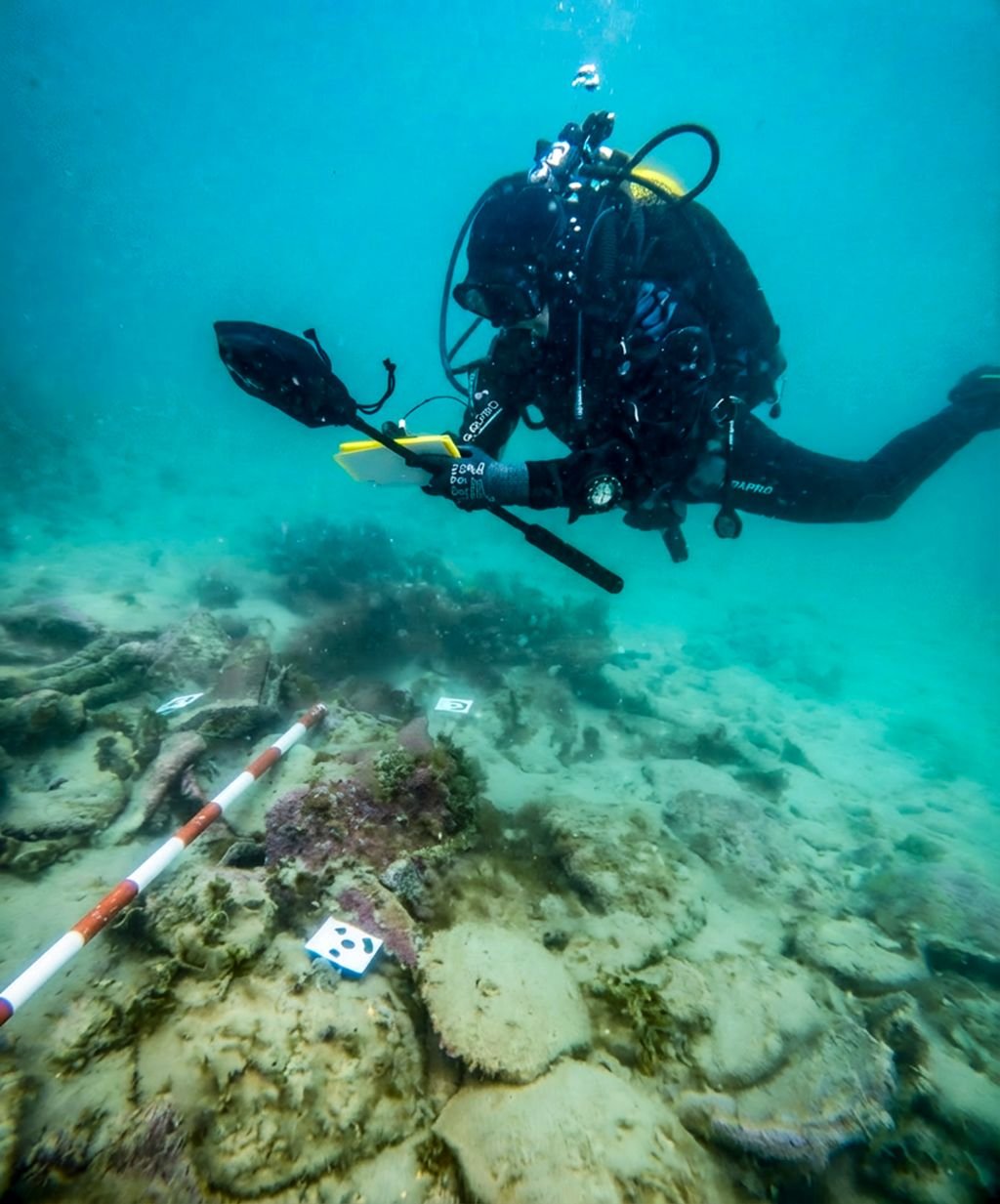 ¿Hubo jirafas en Tarifa y barcos romanos en La Caleta? Los sorprendentes secretos que las olas acaban de destapar