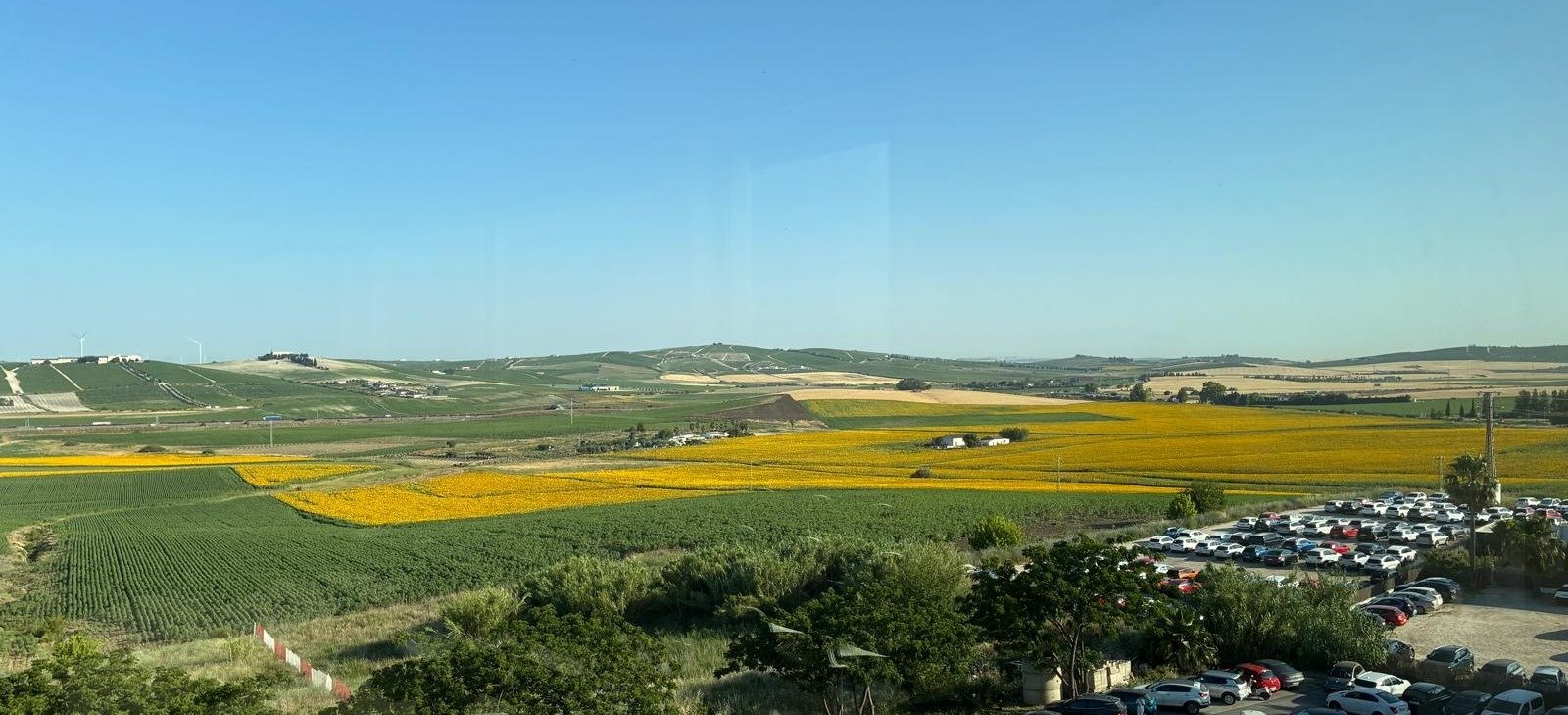 El tiempo en Jerez de la Frontera para el viernes 5 de junio: calor y cielos despejados