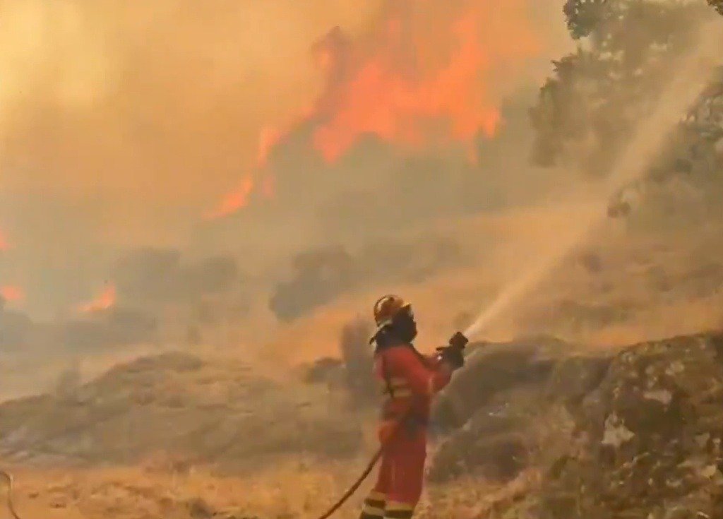 Bombero forestal dirigiendo una línea de agua contra un frente de llamas activo en una zona de terreno escarpado.