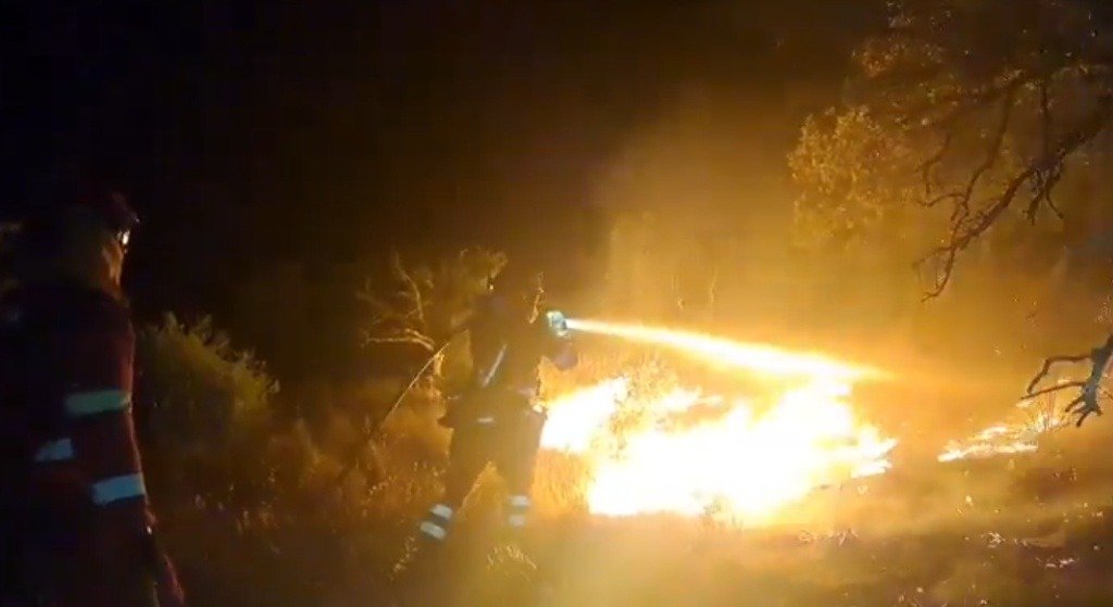 Efectivos forestales trabajando durante la noche para extinguir un foco activo mediante el uso de mangueras de agua en un entorno boscoso.