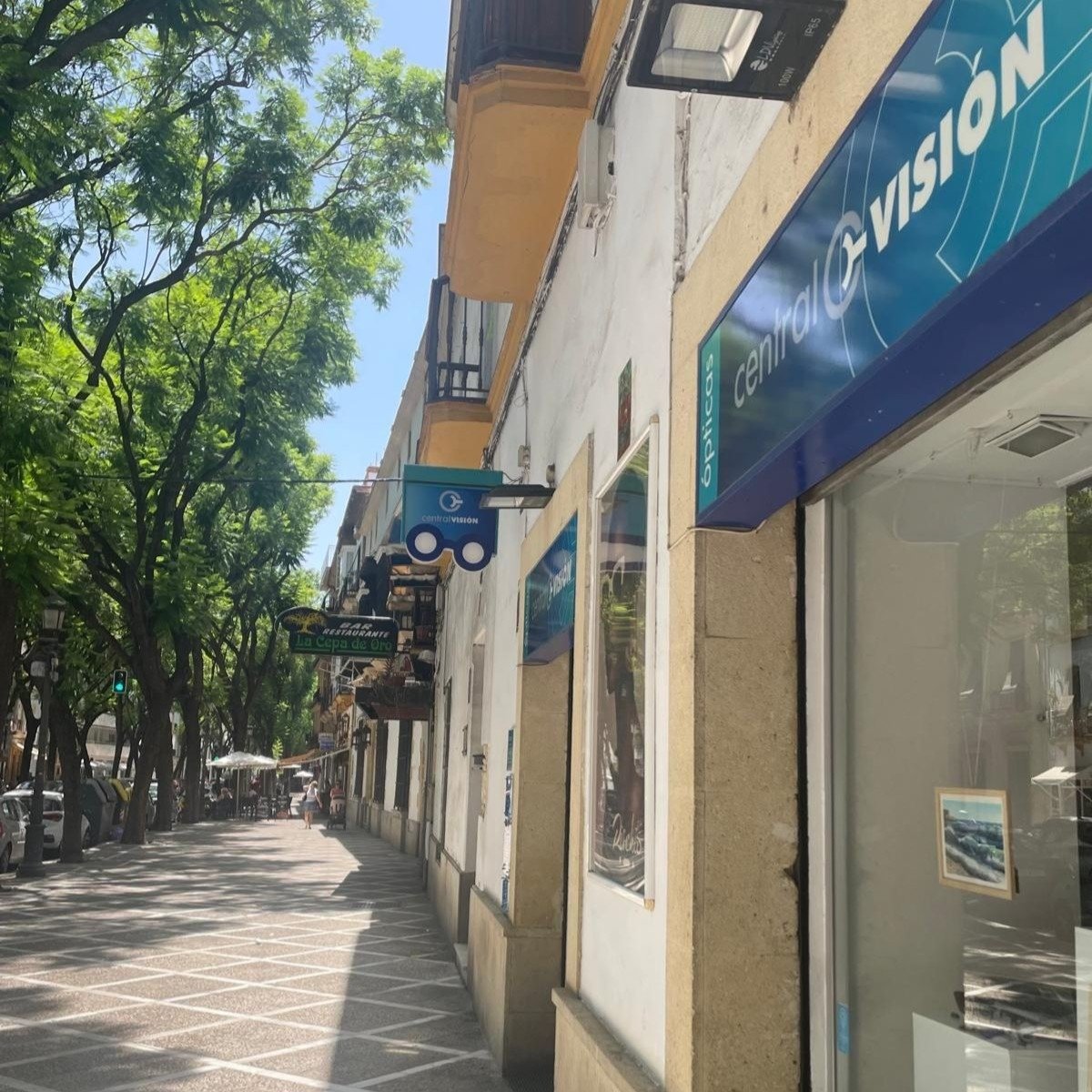 Fachada de la óptica Central Visión en la calle Porvera de Jerez de la Frontera, rodeada por sus características jacarandas.