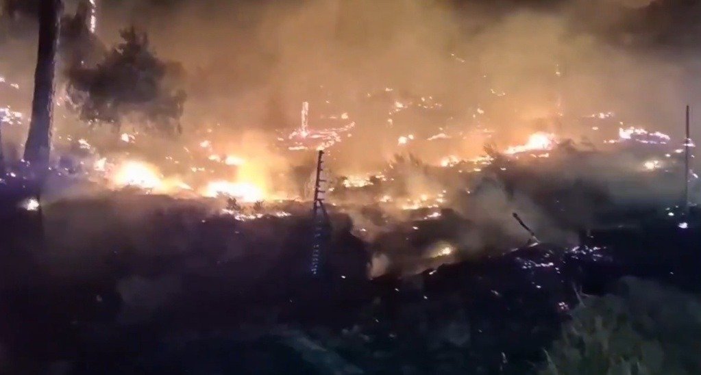 Foco nocturno de un incendio forestal activo con llamas de gran altura y densa humareda extendiéndose por una zona boscosa.