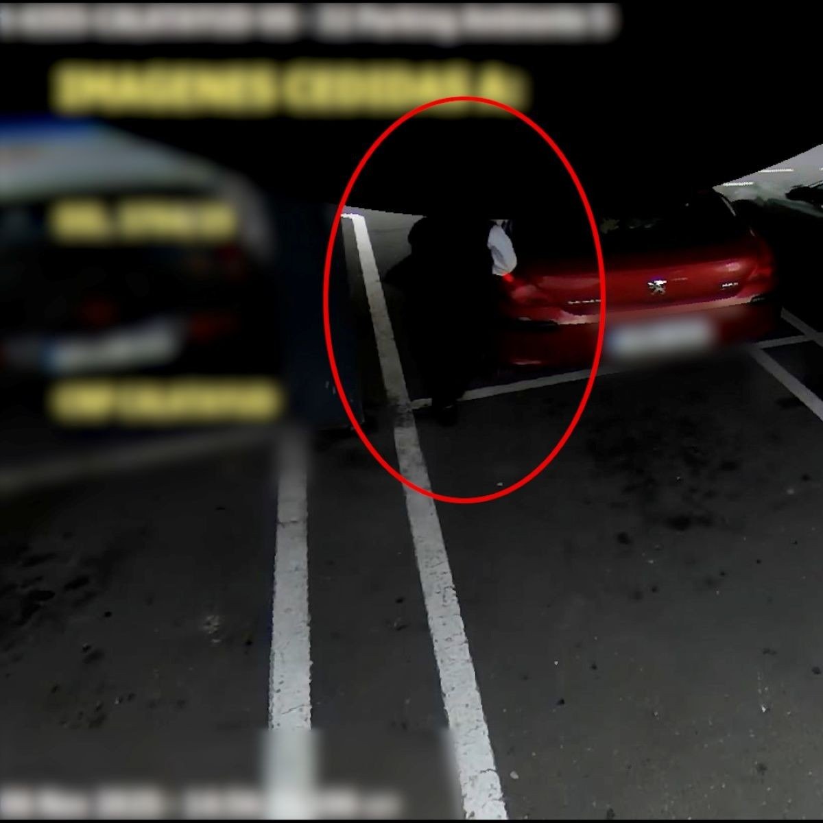 Delincuente sustrayendo un bolso del vehículo mediante el método de la siembra en un aparcamiento.