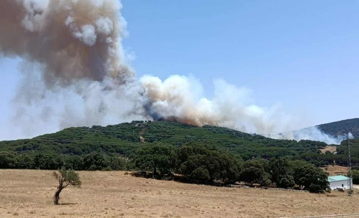 Incendio forestal en Grazalema: activan la fase de emergencia situación operativa 1