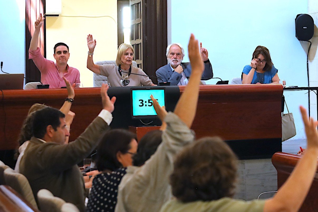 Concejales y miembros del equipo de gobierno votando a mano alzada en el Pleno extraordinario del Ayuntamiento de Jerez.