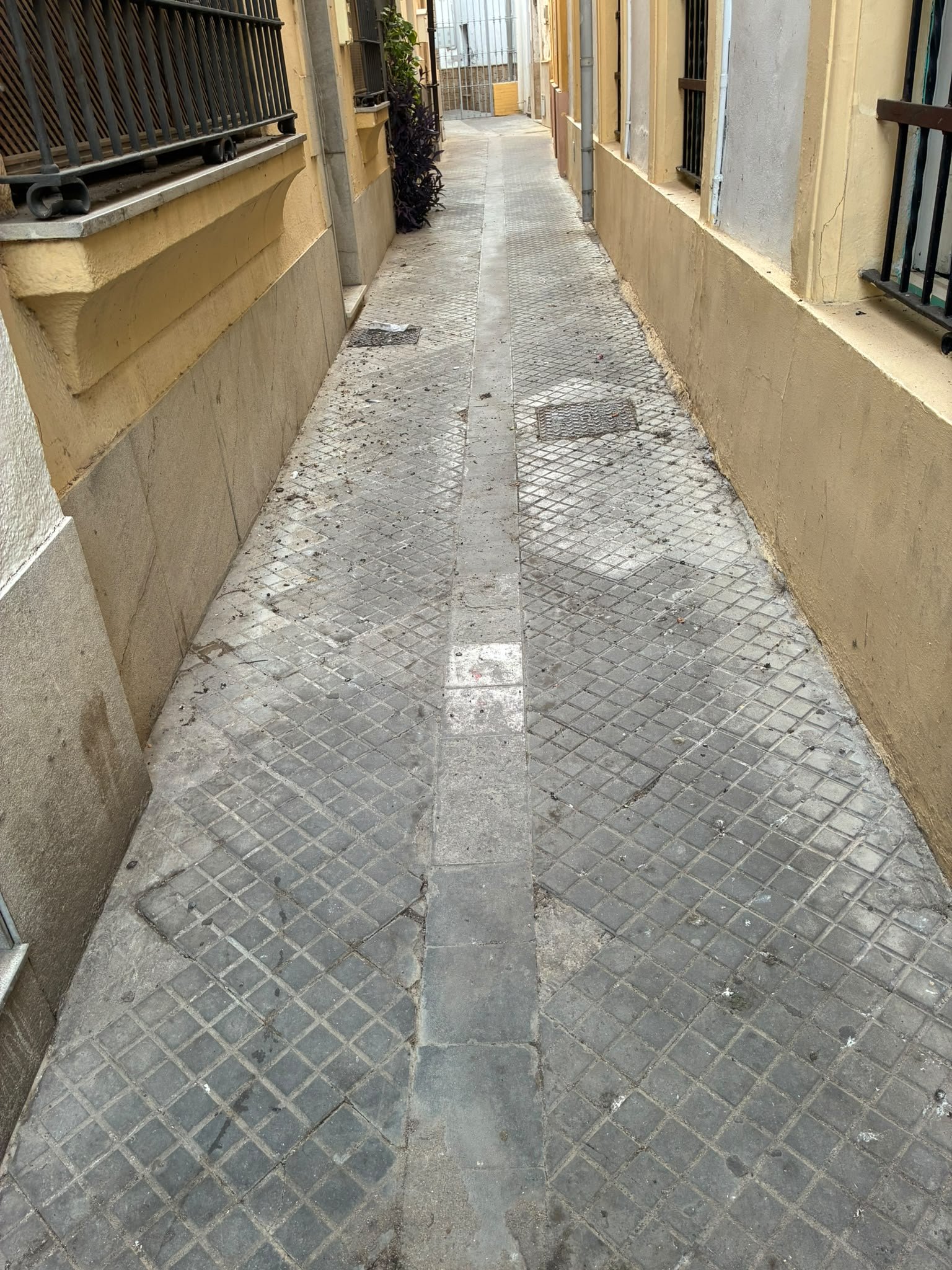 Callejón estrecho de la Calle Nogal en Jerez con el suelo repleto de excrementos de palomas y suciedad acumulada.