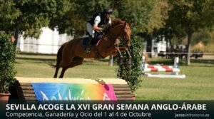 Sevilla reúne a más de 250 caballos en la XVI Gran Semana Anglo-árabe del Parque del Alamillo