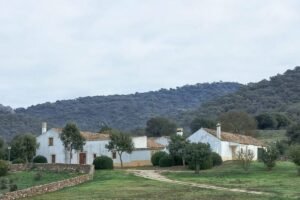 Cuando nueve carlistas fugados desataron el pánico y una causa secreta en los Montes de Propios de Jerez en 1838