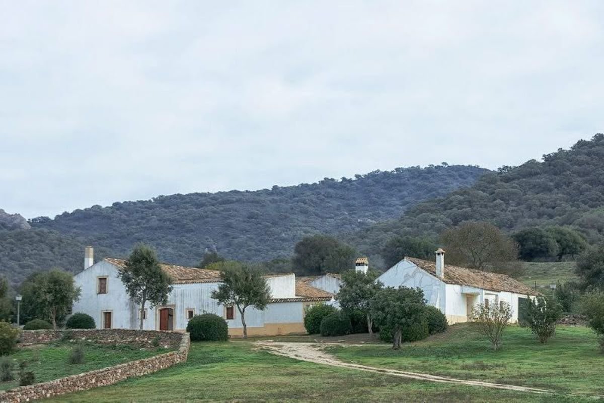 Cuando nueve carlistas fugados desataron el pánico y una causa secreta en los Montes de Propios de Jerez en 1838