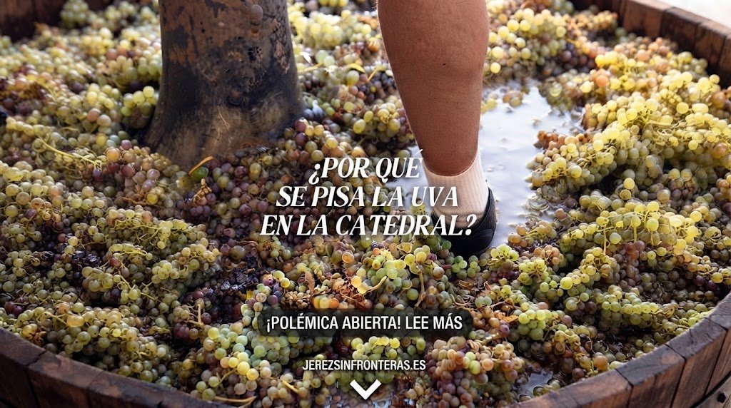 Primer plano con zoom en la pierna realizando la tradicional pisa de la uva en barrica de madera durante las Fiestas de la Vendimia de Jerez.