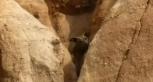 Agentes de montaña salvan a un perro atrapado en una grieta a 30 metros de altura