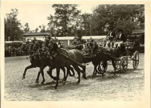 El Archivo Histórico de Cádiz saca a la luz fotografías inéditas de la Feria de Jerez a finales de los años 70