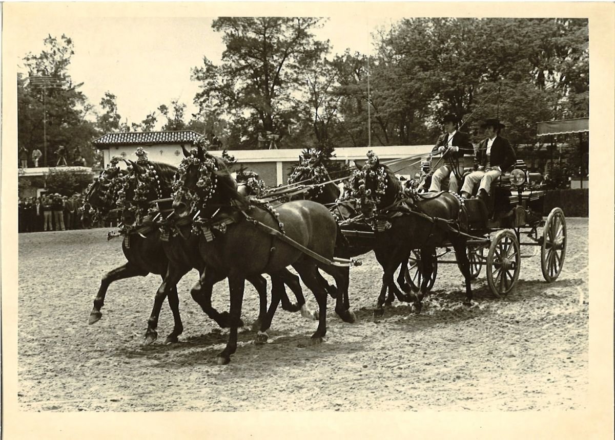 Enganche de caballos en el paseo de la Feria de Jerez a finales de los años 70.